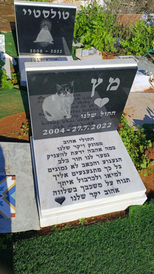 קבר של חתול בשם מץ בבית קברות לחיות