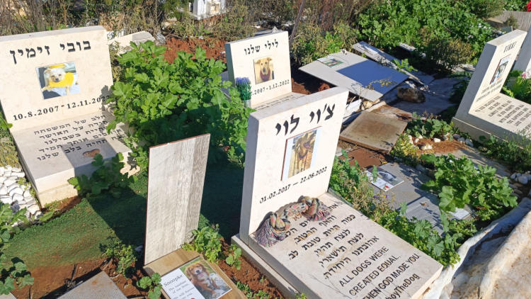 קברים של כלבים בבית קברות לחיות